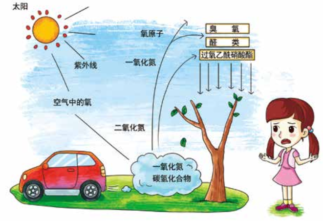 臭氧知識科普（2） | 臭氧跟光化學(xué)煙霧、PM2.5有什么關(guān)系？