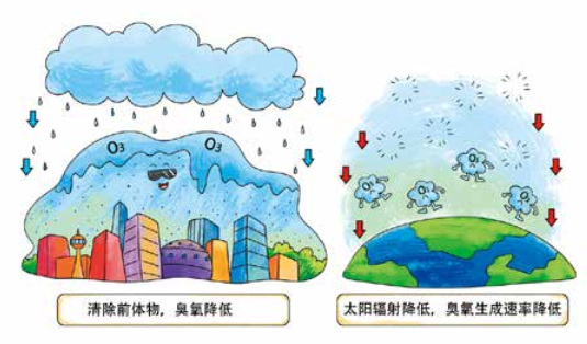 臭氧知識科普（4） | 環(huán)境空氣臭氧會通過哪些方式從空氣中消除呢？降水、植樹可以嗎？