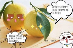 去除甲醛的方法多種多樣，哪種最實用靠譜
